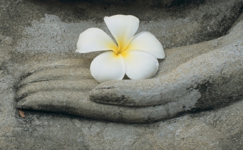 Vị Tăng đốt lò
